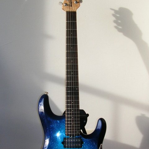 petrucci2