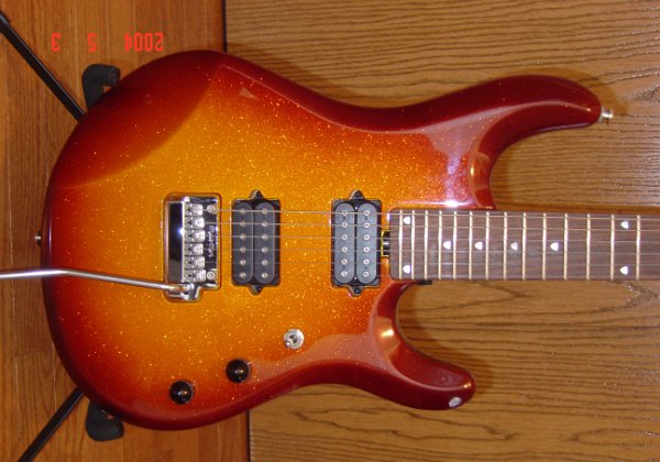 The Vintage Ernie Ball John Petrucci Model Guitar Gallery
